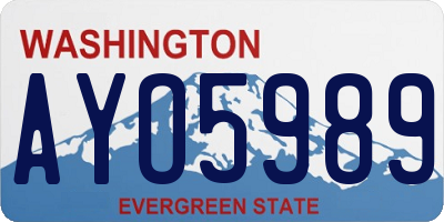 WA license plate AYO5989