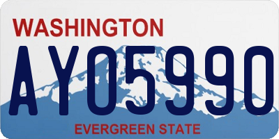 WA license plate AYO5990