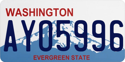 WA license plate AYO5996