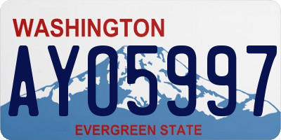 WA license plate AYO5997