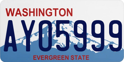 WA license plate AYO5999