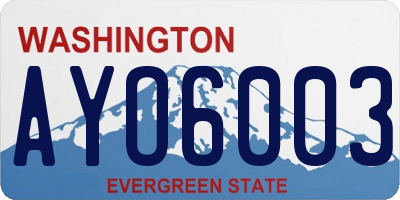 WA license plate AYO6003