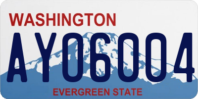 WA license plate AYO6004