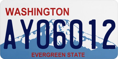 WA license plate AYO6012