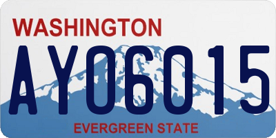 WA license plate AYO6015