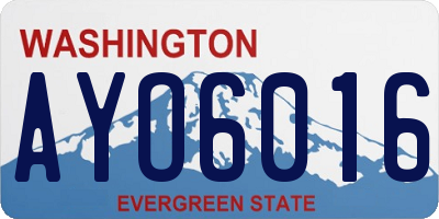 WA license plate AYO6016