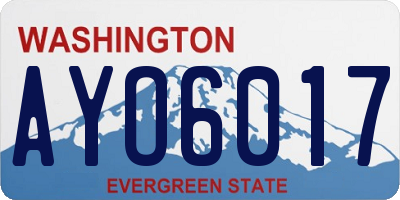 WA license plate AYO6017