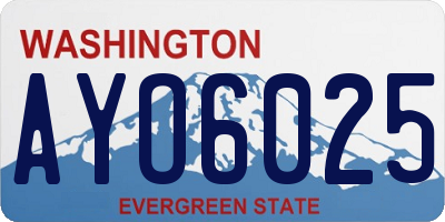 WA license plate AYO6025