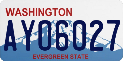 WA license plate AYO6027