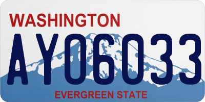 WA license plate AYO6033