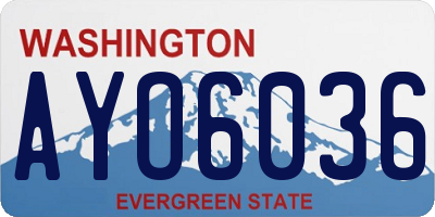 WA license plate AYO6036