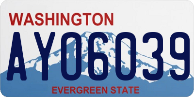 WA license plate AYO6039