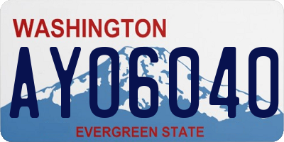 WA license plate AYO6040