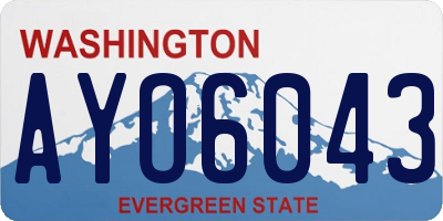 WA license plate AYO6043