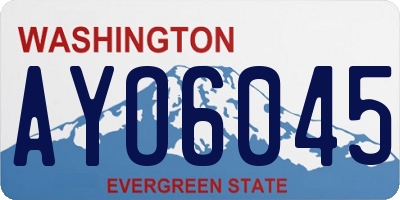 WA license plate AYO6045