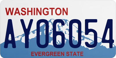 WA license plate AYO6054
