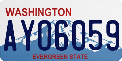 WA license plate AYO6059