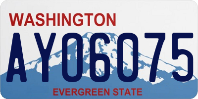 WA license plate AYO6075