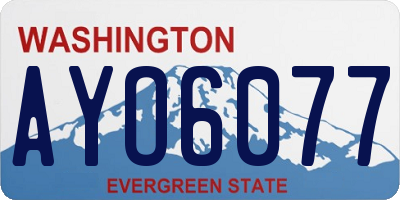 WA license plate AYO6077