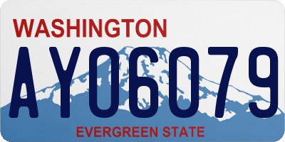 WA license plate AYO6079