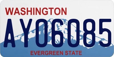 WA license plate AYO6085