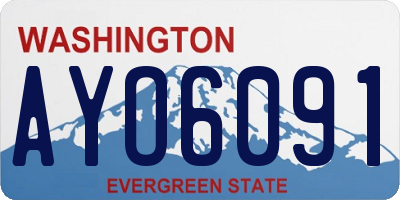 WA license plate AYO6091