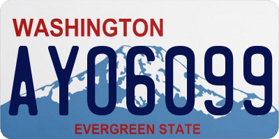 WA license plate AYO6099