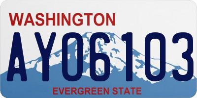 WA license plate AYO6103
