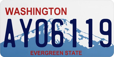 WA license plate AYO6119