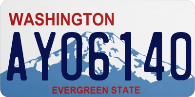 WA license plate AYO6140