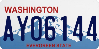 WA license plate AYO6144
