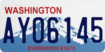 WA license plate AYO6145