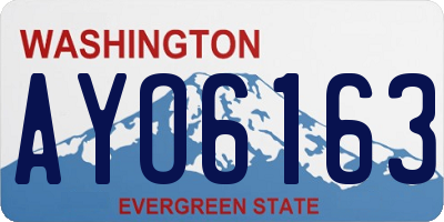 WA license plate AYO6163