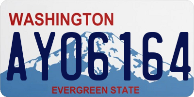 WA license plate AYO6164