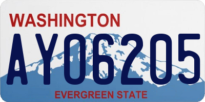 WA license plate AYO6205