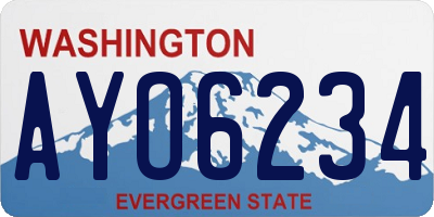 WA license plate AYO6234