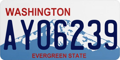 WA license plate AYO6239
