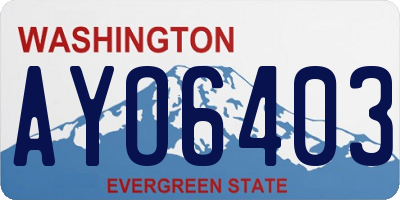 WA license plate AYO6403