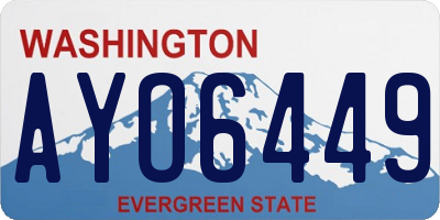 WA license plate AYO6449