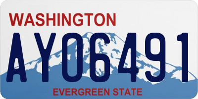 WA license plate AYO6491