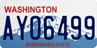 WA license plate AYO6499