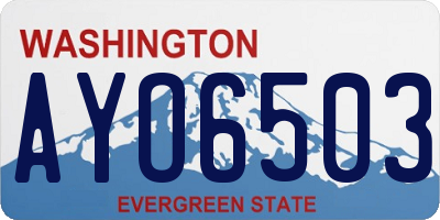 WA license plate AYO6503