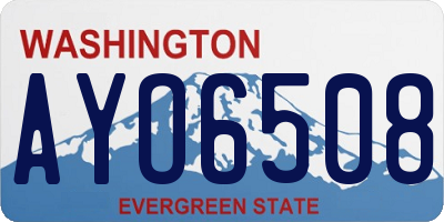 WA license plate AYO6508