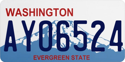 WA license plate AYO6524