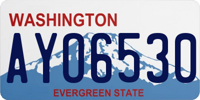 WA license plate AYO6530