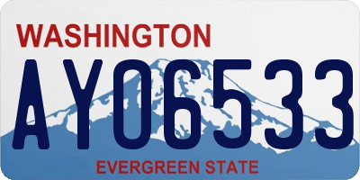WA license plate AYO6533