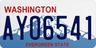 WA license plate AYO6541