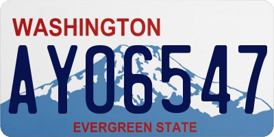 WA license plate AYO6547