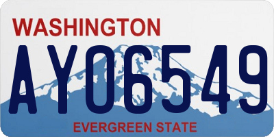 WA license plate AYO6549