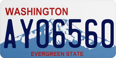 WA license plate AYO6560